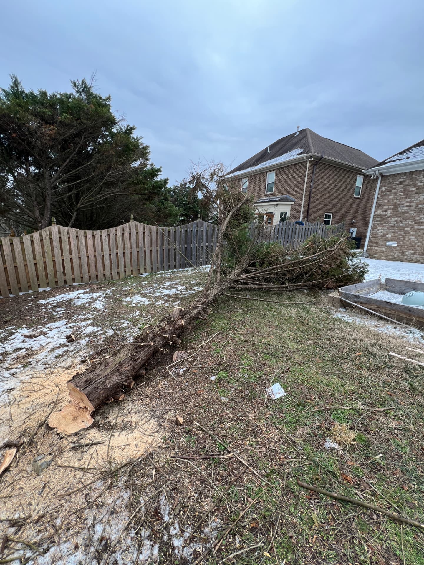 Fallen tree removal after a winter storm by SGO Land & Tree