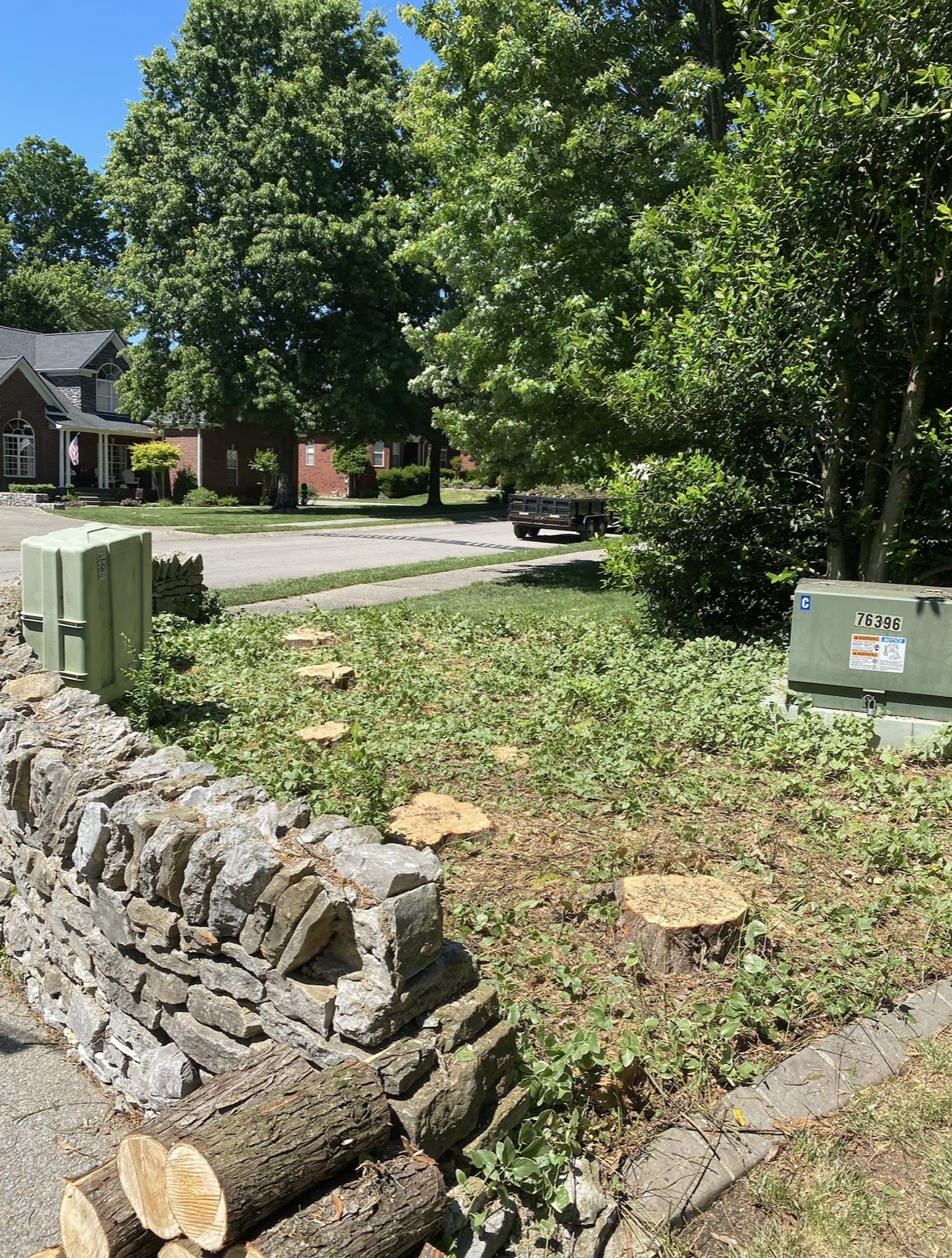 Stump grinding and removal work by SGO Land & Tree